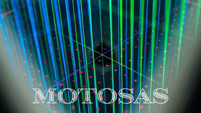 Motosas