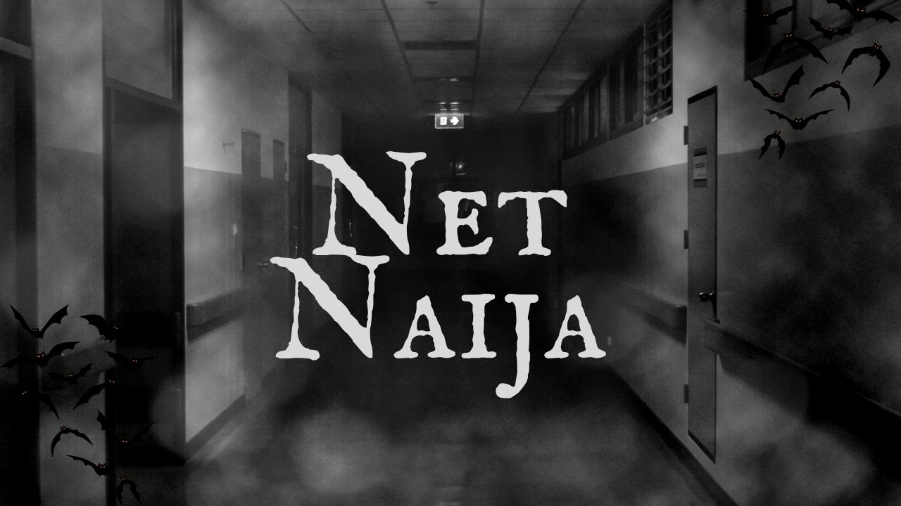 NetNaija