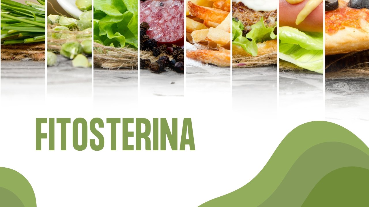 Fitosterina