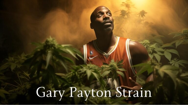 Gary Payton Strain