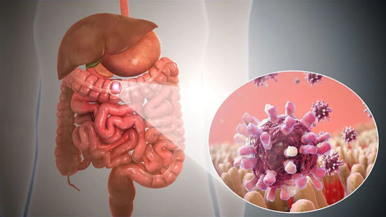 wellhealthorganic.com : key signs of gastroenteritis