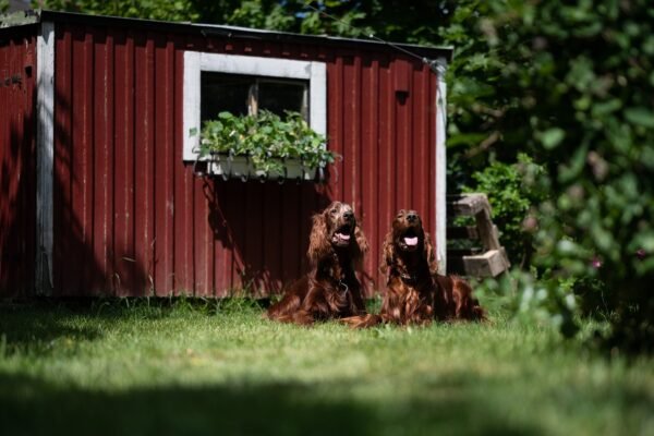 Yard Art Landscaping