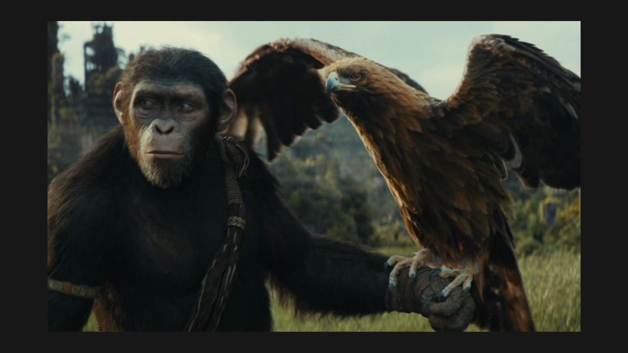 kingdom of the planet of the apes subtitles