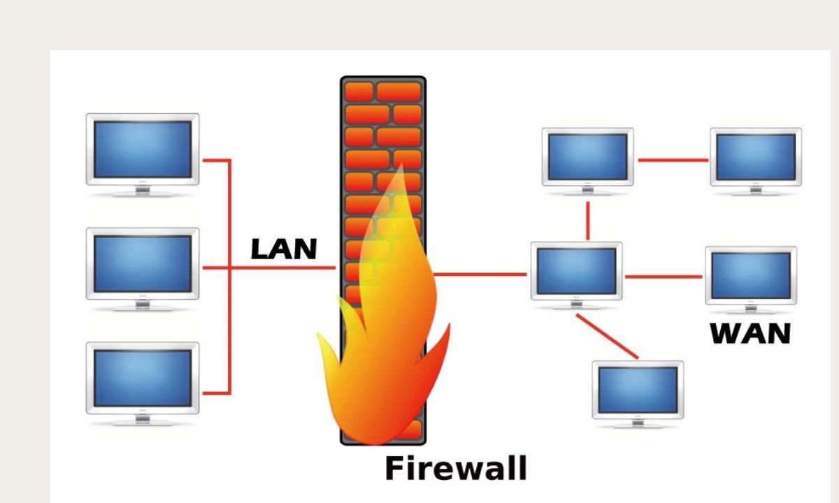 local area network