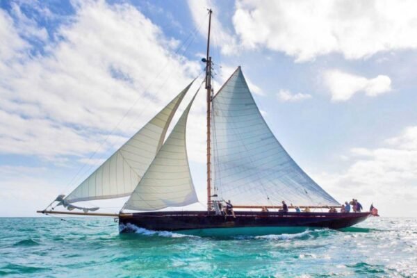 Sailing Charter