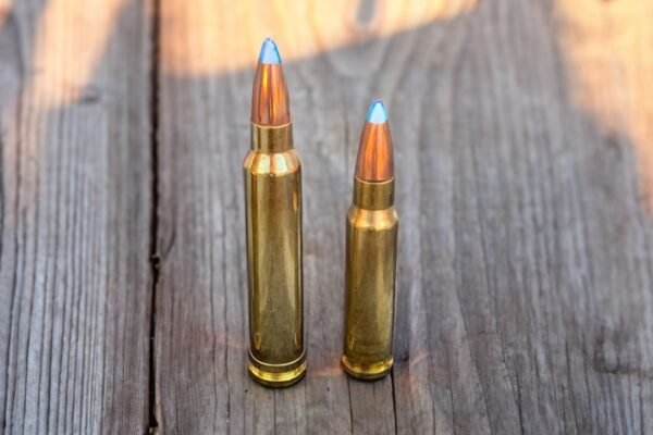 300 Win Mag vs 308