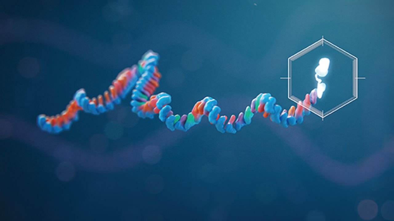 Trilink CleanCap mRNA Reddit